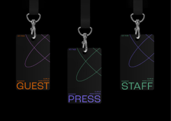 Building a Full-Stack App with the TALL Stack